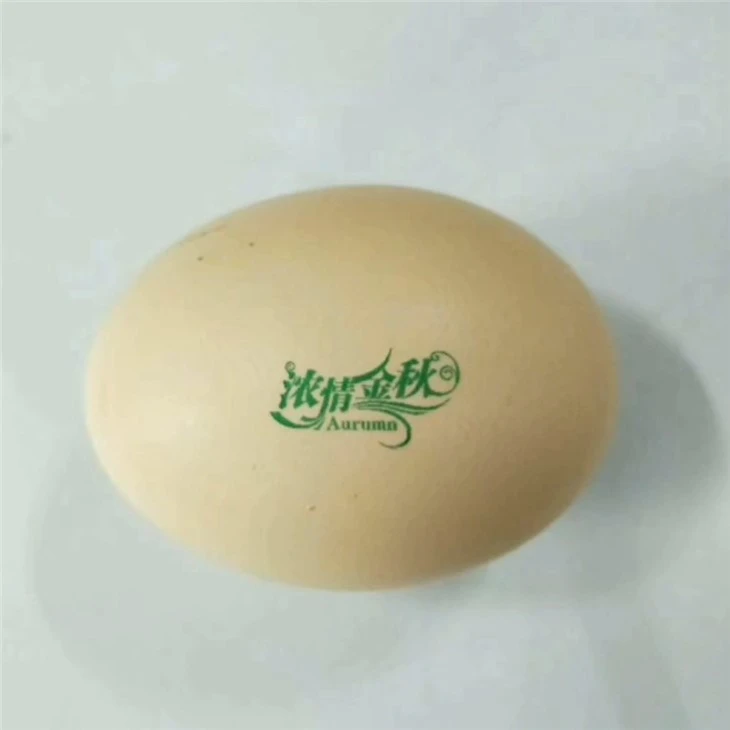 Hen Egg Coding Machine Date Logo Pattern